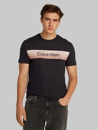 T-Shirt LINEAR OMBRE CHEST LOGO T-SHIRT mit Ombr-Logo-Druck