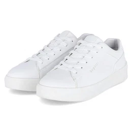 Low Sneaker Sneaker