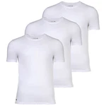 Lacoste T-Shirt Herren Essentials Rundhals Weiß/Dunkelblau/Grau/Creme/Schwarz