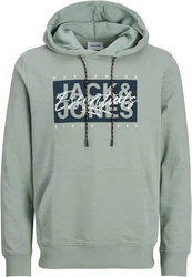 Jack & Jones Kapuzensweatshirt JJCOLTON SWEAT HOOD PLS Grün/Dunkelgrün/Hellgrün