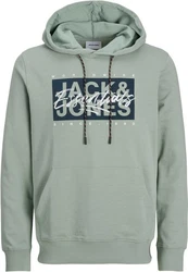 Jack & Jones Kapuzensweatshirt JJCOLTON SWEAT HOOD PLS Grün/Dunkelgrün/Hellgrün
