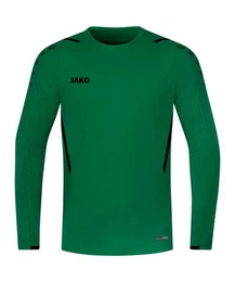 Sweatshirt Challenge Sweatshirt Polyester