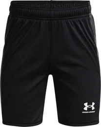 Shorts Jugend UA Challenger Knit-Shorts