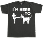 Hybris T-Shirt I'm Here To Kick Ass Schwarz
