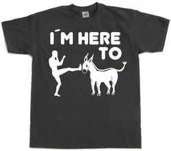 Hybris T-Shirt I'm Here To Kick Ass Schwarz