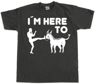 Hybris T-Shirt I'm Here To Kick Ass Schwarz