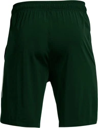 Under Armour Shorts Ua Tech Vent Short Grün/Dunkelgrün