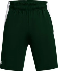 Under Armour Shorts Ua Tech Vent Short Grün/Dunkelgrün
