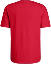 Fila T-Shirt Lanaken Regular Graphic Tee Rot/Rosa