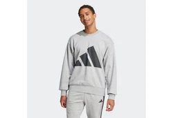 adidas Sportswear Sweatshirt Hellgrau/Grau