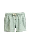 Next Badeshorts mit Print Weiß/Grün/Hellgrün/Hellblau/Dunkelgrün