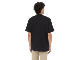 Dickies T-Shirt Summerdale Schwarz/Beige