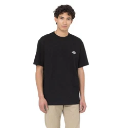 Dickies T-Shirt Summerdale Schwarz/Beige