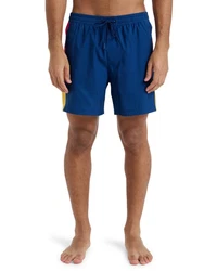 Quiksilver Boardshorts Everyday Holmes 