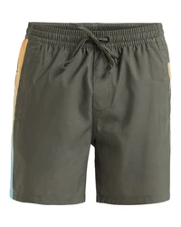 Quiksilver Boardshorts Everyday Holmes 