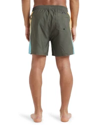 Quiksilver Boardshorts Everyday Holmes 