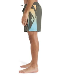 Quiksilver Boardshorts Everyday Holmes 