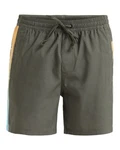Quiksilver Boardshorts Everyday Holmes 