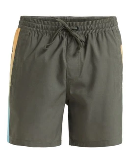 Quiksilver Boardshorts Everyday Holmes Quiksilver Boardshorts Everyday Holmes