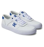 DC Shoes Teknic Sneaker Blau/Hellblau/Weiß