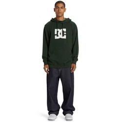 DC Shoes Kapuzensweatshirt DC Star Grün/Dunkelgrün
