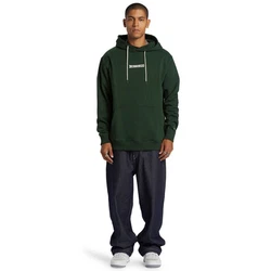 DC Shoes Kapuzensweatshirt Baseline Dunkelgrün/Grün