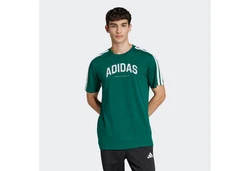 adidas Sportswear T-Shirt COLLEG TEE Grün/Dunkelgrün/Neonfarben