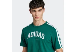 adidas Sportswear T-Shirt COLLEG TEE Grün/Dunkelgrün/Neonfarben
