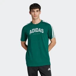 T-Shirt M C COLLEG TEE