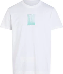 Calvin Klein Jeans T-Shirt Weiß/Hellblau/Mintgrün