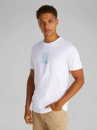 T-Shirt BRUSH STROKE GRAPHIC TEE mit Logodruck