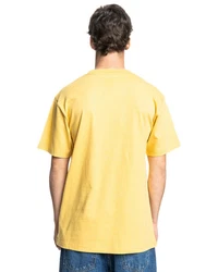 DC Shoes T-Shirt DC Star Pocket Gelb/Gold