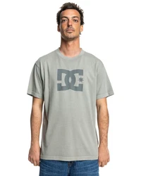 DC Shoes T-Shirt DC Star Pigment Dye Grau/Hellgrün/Hellgrau/Dunkelgrün/Beige