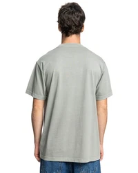 DC Shoes T-Shirt DC Star Pigment Dye Grau/Hellgrün/Hellgrau/Dunkelgrün/Beige