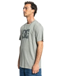 DC Shoes T-Shirt DC Star Pigment Dye Grau/Hellgrün/Hellgrau/Dunkelgrün/Beige