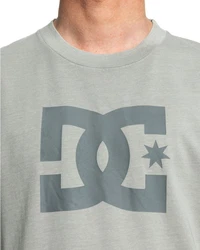 DC Shoes T-Shirt DC Star Pigment Dye Grau/Hellgrün/Hellgrau/Dunkelgrün/Beige