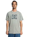 DC Shoes T-Shirt DC Star Pigment Dye Grau/Hellgrün/Hellgrau/Dunkelgrün/Beige