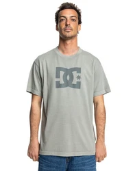 DC Shoes T-Shirt DC Star Pigment Dye Grau/Hellgrün/Hellgrau/Dunkelgrün/Beige