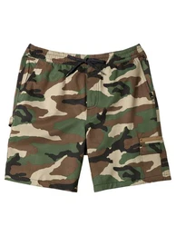 Boardshorts Taxer Cargo 19