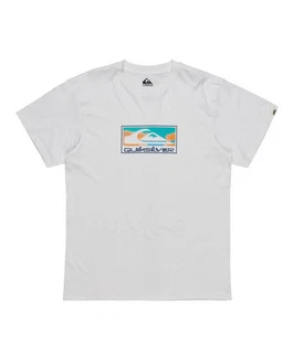 Quiksilver T-Shirt Ev Gradient Box Weiß/Grau/Hellgrau/Silber Quiksilver T-Shirt Ev Gradient Box Weiß/Grau/Hellgrau/Silber