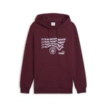 PUMA Hoodie Manchester City ftblNRGY Hoodie Herren Dunkelrot/Bordeaux/Lila