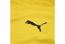 PUMA T-Shirt Borussia Dortmund Trainingstop 