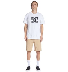 DC Shoes Chinoshorts Worker Relaxed Beige/Khaki