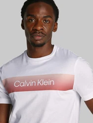 Calvin Klein T-Shirt LINEAR OMBRE CHEST LOGO Rosa/Braun/Rot/Grau/Weiß/Gelb