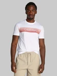 Calvin Klein T-Shirt LINEAR OMBRE CHEST LOGO Rosa/Braun/Rot/Grau/Weiß/Gelb