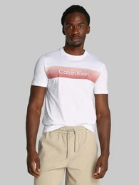 T-Shirt LINEAR OMBRE CHEST LOGO T-SHIRT mit Ombr-Logo-Druck