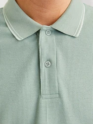 JACK & JONES Poloshirt JJEAUSTIN Hellgrün/Grün
