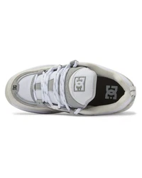 DC Shoes Truth OG Sneaker Hellgrau/Grau/Beige