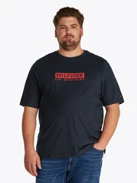 Tommy Hilfiger Big & Tall Kurzarmshirt BT-COLOUR TO COLOR GRAPHIC TEE-B Groe Gren