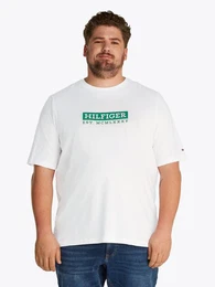 Tommy Hilfiger Big & Tall Kurzarmshirt BT-COLOUR TO COLOR GRAPHIC TEE-B Groe Gren